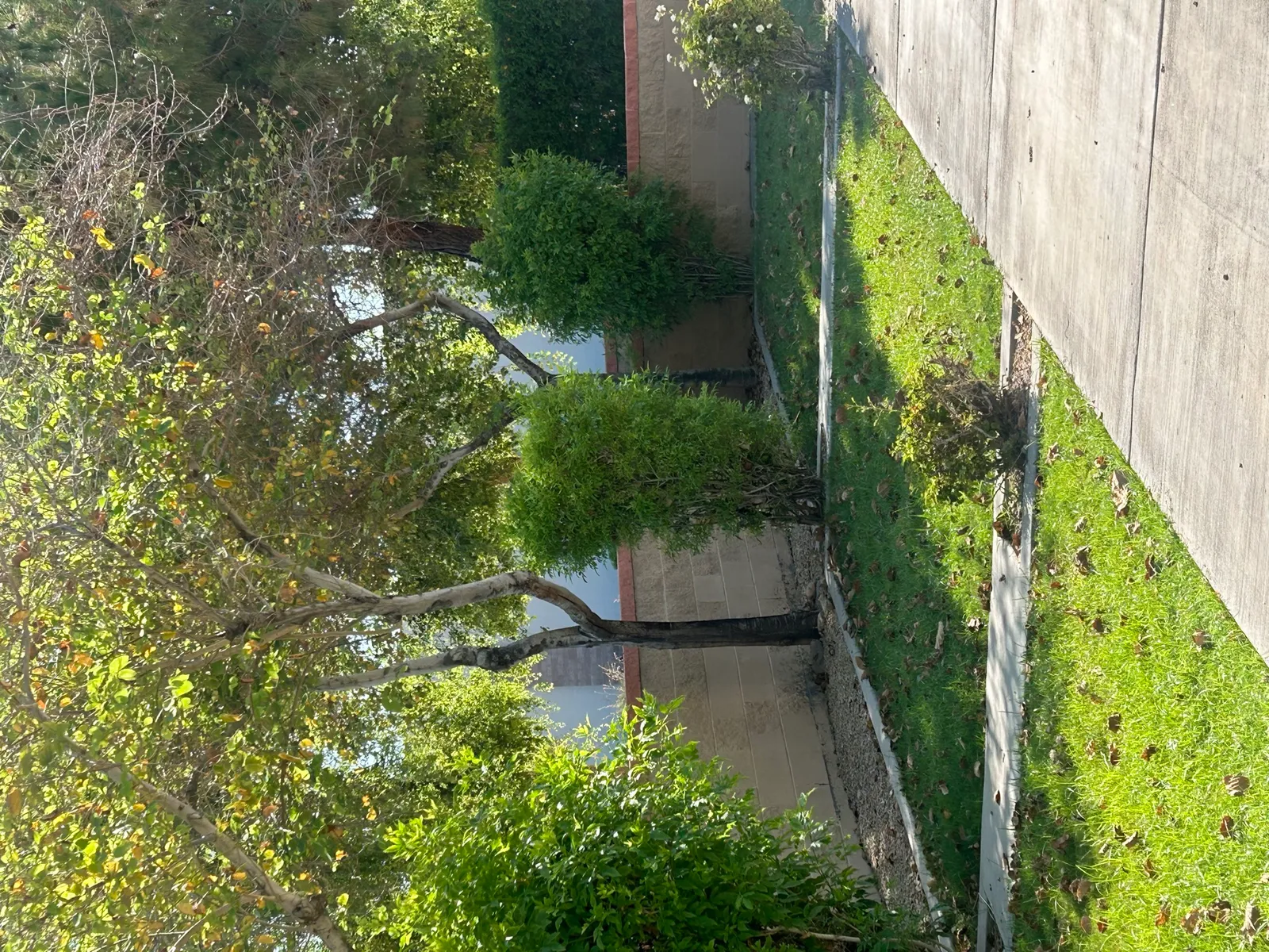 Garden pathway