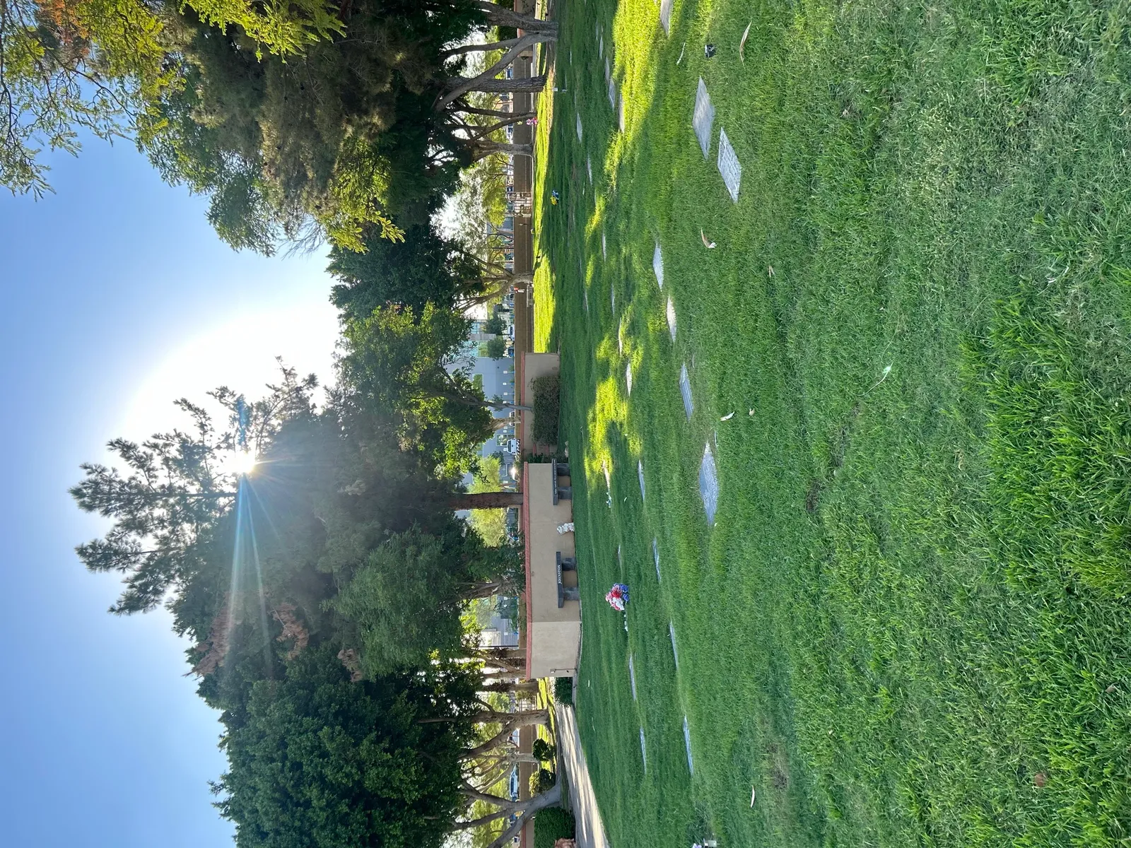 Maintained grounds